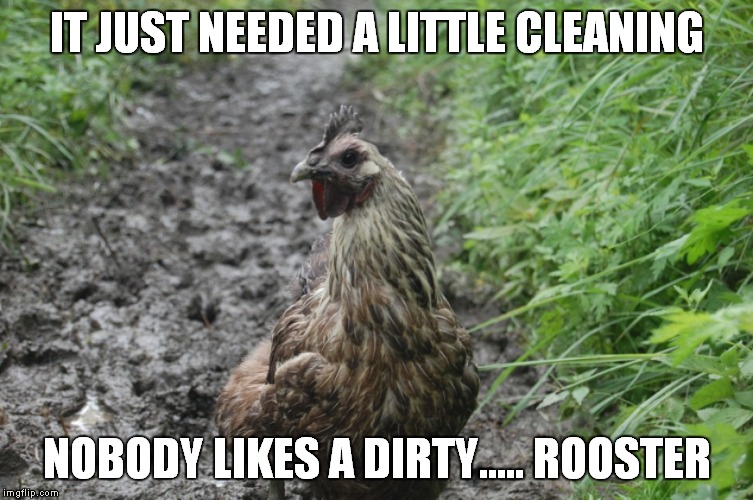 IT JUST NEEDED A LITTLE CLEANING NOBODY LIKES A DIRTY..... ROOSTER | made w/ Imgflip meme maker