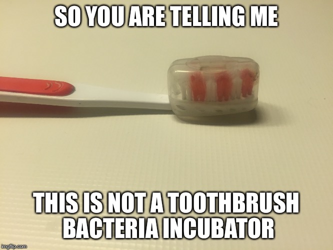 Bacteria incubator  | SO YOU ARE TELLING ME THIS IS NOT A TOOTHBRUSH BACTERIA INCUBATOR | image tagged in toothbrush,nasty,bacteria,teeth,ugly,memes | made w/ Imgflip meme maker