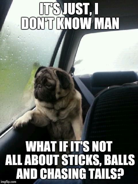 Introspective Pug | IT'S JUST, I DON'T KNOW MAN WHAT IF IT'S NOT ALL ABOUT STICKS, BALLS AND CHASING TAILS? | image tagged in introspective pug | made w/ Imgflip meme maker