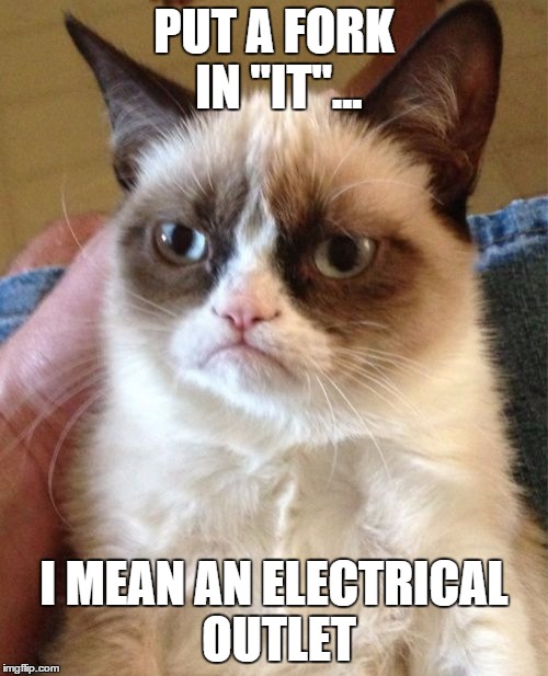 Grumpy Cat | PUT A FORK IN "IT"... I MEAN AN ELECTRICAL OUTLET | image tagged in memes,grumpy cat | made w/ Imgflip meme maker