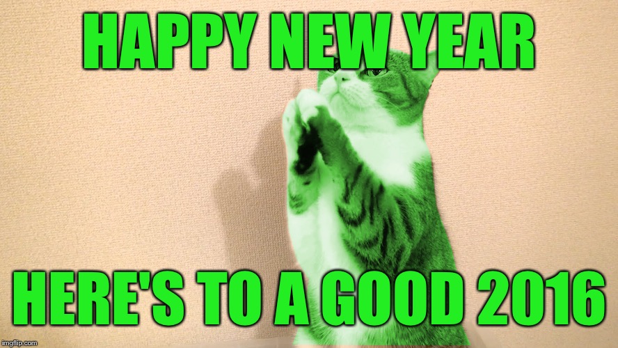 RayCat Pray | HAPPY NEW YEAR HERE'S TO A GOOD 2016 | image tagged in raycat pray | made w/ Imgflip meme maker