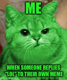 RayCat Annoyed | ME WHEN SOMEONE REPLIES "LOL" TO THEIR OWN MEME | image tagged in raycat annoyed | made w/ Imgflip meme maker
