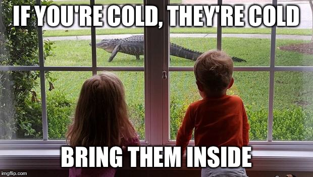 Bring Them Inside | IF YOU'RE COLD, THEY'RE COLD BRING THEM INSIDE | image tagged in alligator,bring them inside,children,funny,meme | made w/ Imgflip meme maker