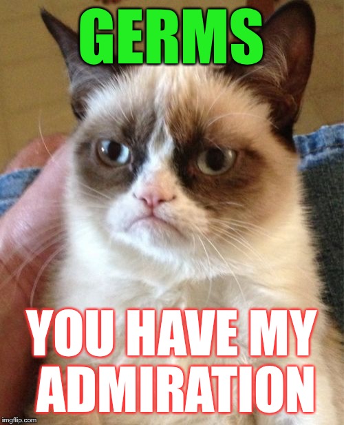 Grumpy Cat Meme | GERMS YOU HAVE MY ADMIRATION | image tagged in memes,grumpy cat | made w/ Imgflip meme maker