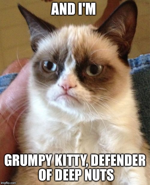 Grumpy Cat Meme | AND I'M GRUMPY KITTY, DEFENDER OF DEEP NUTS | image tagged in memes,grumpy cat | made w/ Imgflip meme maker