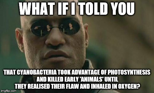 Matrix Morpheus Meme | WHAT IF I TOLD YOU THAT CYANOBACTERIA TOOK ADVANTAGE OF PHOTOSYNTHESIS AND KILLED EARLY 'ANIMALS' UNTIL THEY REALISED THEIR FLAW AND INHALED | image tagged in memes,matrix morpheus | made w/ Imgflip meme maker