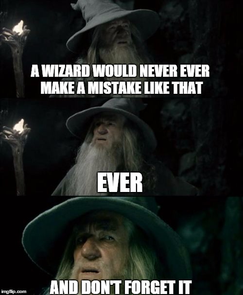 A WIZARD WOULD NEVER EVER MAKE A MISTAKE LIKE THAT AND DON'T FORGET IT EVER | made w/ Imgflip meme maker