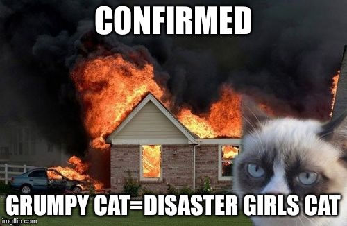 Burn Kitty | CONFIRMED GRUMPY CAT=DISASTER GIRLS CAT | image tagged in memes,burn kitty | made w/ Imgflip meme maker