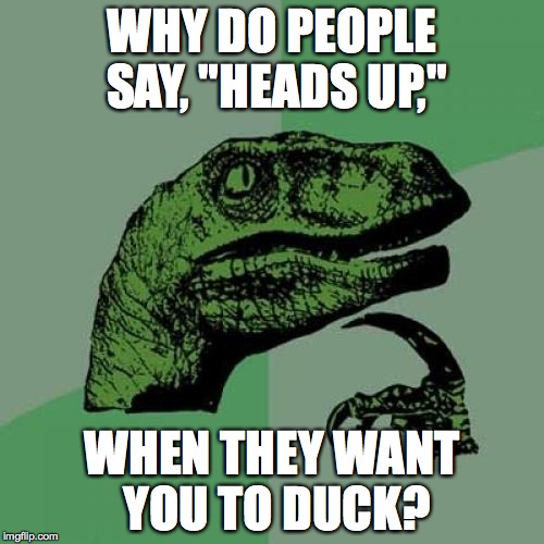 Philosoraptor Meme | WHY DO PEOPLE SAY, "HEADS UP," WHEN THEY WANT YOU TO DUCK? | image tagged in memes,philosoraptor | made w/ Imgflip meme maker