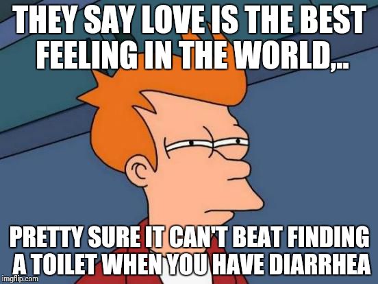 Futurama Fry Meme | THEY SAY LOVE IS THE BEST FEELING IN THE WORLD,.. PRETTY SURE IT CAN'T BEAT FINDING A TOILET WHEN YOU HAVE DIARRHEA | image tagged in memes,futurama fry | made w/ Imgflip meme maker