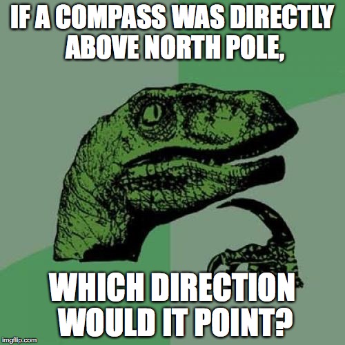 Philosoraptor | IF A COMPASS WAS DIRECTLY ABOVE NORTH POLE, WHICH DIRECTION WOULD IT POINT? | image tagged in memes,philosoraptor | made w/ Imgflip meme maker