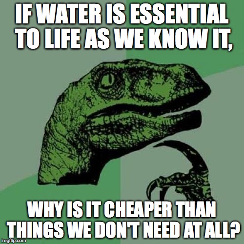 Philosoraptor | IF WATER IS ESSENTIAL TO LIFE AS WE KNOW IT, WHY IS IT CHEAPER THAN THINGS WE DON'T NEED AT ALL? | image tagged in memes,philosoraptor | made w/ Imgflip meme maker