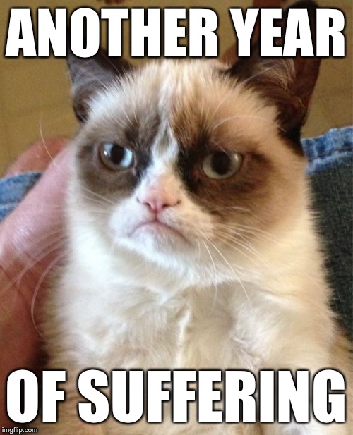 Grumpy Cat Meme | ANOTHER YEAR OF SUFFERING | image tagged in memes,grumpy cat | made w/ Imgflip meme maker