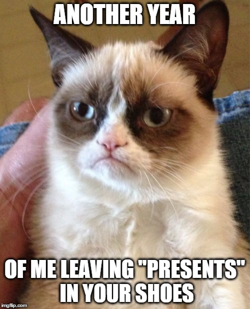 Grumpy Cat Meme | ANOTHER YEAR OF ME LEAVING "PRESENTS" IN YOUR SHOES | image tagged in memes,grumpy cat | made w/ Imgflip meme maker
