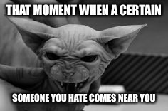 THAT MOMENT WHEN A CERTAIN SOMEONE YOU HATE COMES NEAR YOU | image tagged in demon sphinx | made w/ Imgflip meme maker