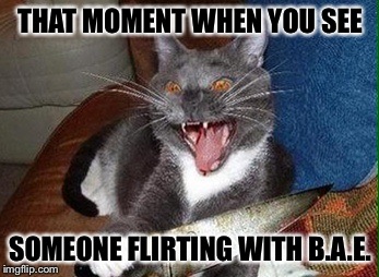 THAT MOMENT WHEN YOU SEE SOMEONE FLIRTING WITH B.A.E. | image tagged in cat with knife | made w/ Imgflip meme maker