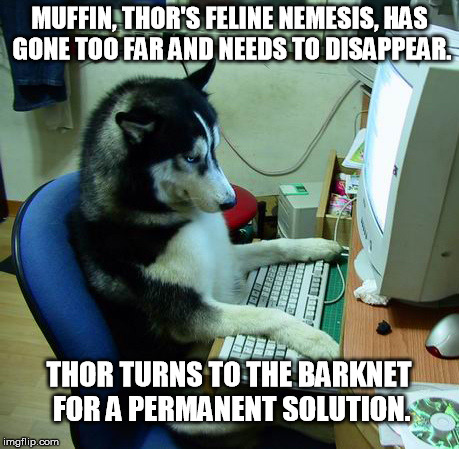 I Have No Idea What I Am Doing | MUFFIN, THOR'S FELINE NEMESIS, HAS GONE TOO FAR AND NEEDS TO DISAPPEAR. THOR TURNS TO THE BARKNET FOR A PERMANENT SOLUTION. | image tagged in memes,i have no idea what i am doing | made w/ Imgflip meme maker