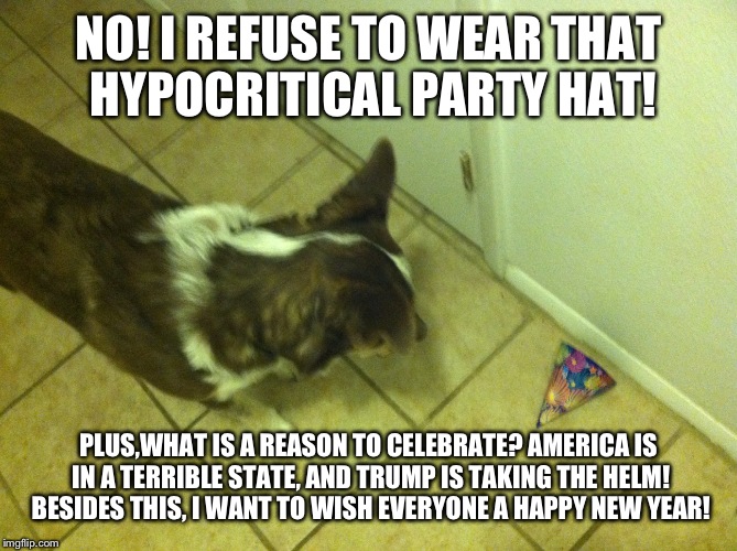 Lol dog New Years  | NO! I REFUSE TO WEAR THAT HYPOCRITICAL PARTY HAT! PLUS,WHAT IS A REASON TO CELEBRATE? AMERICA IS IN A TERRIBLE STATE, AND TRUMP IS TAKING TH | image tagged in lol dog,lol dog new years,the cow guy | made w/ Imgflip meme maker