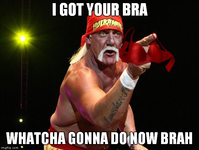 I GOT YOUR BRA WHATCHA GONNA DO NOW BRAH | made w/ Imgflip meme maker