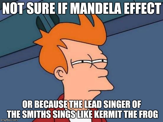 "Kiss my shades"? I always thought it was "There's no shame" | NOT SURE IF MANDELA EFFECT OR BECAUSE THE LEAD SINGER OF THE SMITHS SINGS LIKE KERMIT THE FROG | image tagged in memes,futurama fry,the smiths,hand in glove,mandela effect,80s songs | made w/ Imgflip meme maker