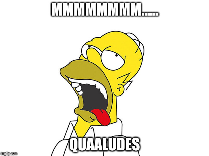 MMMMMMMM...... QUAALUDES | image tagged in homer stoner,memes | made w/ Imgflip meme maker