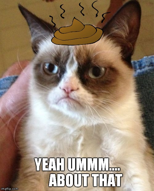 Grumpy Cat Meme | YEAH UMMM....      ABOUT THAT | image tagged in memes,grumpy cat | made w/ Imgflip meme maker