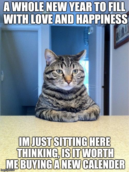 Take A Seat Cat | A WHOLE NEW YEAR TO FILL WITH LOVE AND HAPPINESS IM JUST SITTING HERE THINKING, IS IT WORTH ME BUYING A NEW CALENDER | image tagged in memes,take a seat cat | made w/ Imgflip meme maker