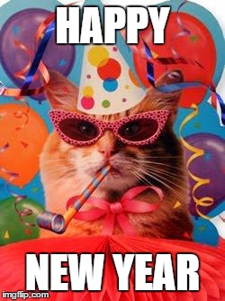 Cat Celebration! | HAPPY NEW YEAR | image tagged in cat celebration | made w/ Imgflip meme maker