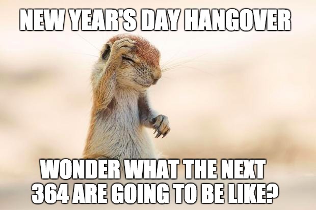 New Year's Hangover | NEW YEAR'S DAY HANGOVER WONDER WHAT THE NEXT 364 ARE GOING TO BE LIKE? | image tagged in new years,new year 2016,hangover,drunk,you're drunk,go home youre drunk | made w/ Imgflip meme maker