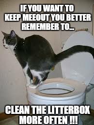 CAT THOUGHTS | IF YOU WANT TO KEEP MEEOUT YOU BETTER REMEMBER TO... CLEAN THE LITTERBOX MORE OFTEN !!! | image tagged in cats,toilet humor,poop,pooping,take a seat cat | made w/ Imgflip meme maker