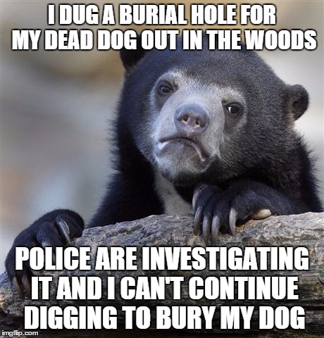 Confession Bear | I DUG A BURIAL HOLE FOR MY DEAD DOG OUT IN THE WOODS POLICE ARE INVESTIGATING IT AND I CAN'T CONTINUE DIGGING TO BURY MY DOG | image tagged in memes,confession bear | made w/ Imgflip meme maker
