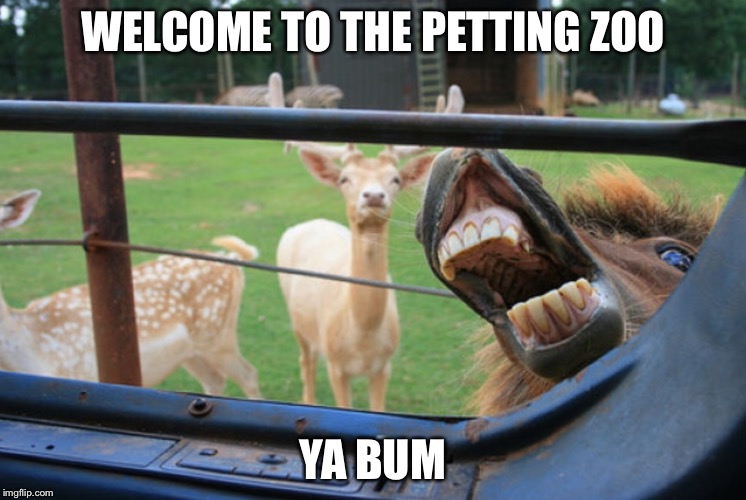 WELCOME TO THE PETTING ZOO YA BUM | made w/ Imgflip meme maker