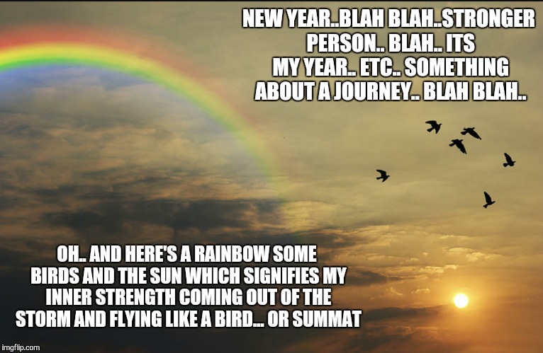 NEW YEAR..BLAH BLAH..STRONGER PERSON.. BLAH.. ITS MY YEAR.. ETC.. SOMETHING ABOUT A JOURNEY.. BLAH BLAH.. OH.. AND HERE'S A RAINBOW SOME BIR | image tagged in new year | made w/ Imgflip meme maker