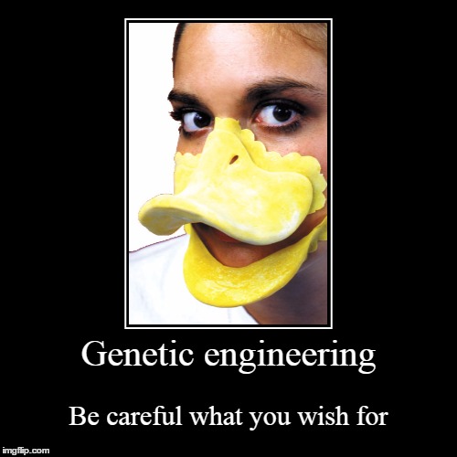 A GIRL WHO LOOKED LIKE A GOOD DUCK WASN'T QUITE WHAT I WANTED | Genetic engineering | Be careful what you wish for | image tagged in funny,demotivationals | made w/ Imgflip demotivational maker