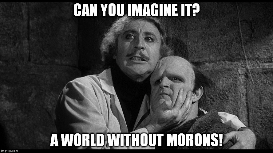 Young Frankenstein | CAN YOU IMAGINE IT? A WORLD WITHOUT MORONS! | image tagged in young frankenstein | made w/ Imgflip meme maker