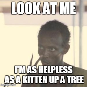 Chances Are | LOOK AT ME I'M AS HELPLESS AS A KITTEN UP A TREE | image tagged in memes,look at me | made w/ Imgflip meme maker