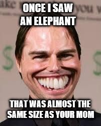 ONCE I SAW THAT WAS ALMOST THE SAME SIZE AS YOUR MOM AN ELEPHANT | image tagged in once i x | made w/ Imgflip meme maker