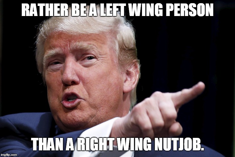 Trumpy | RATHER BE A LEFT WING PERSON THAN A RIGHT WING NUTJOB. | image tagged in trumpy | made w/ Imgflip meme maker
