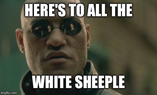 Matrix Morpheus Meme | HERE'S TO ALL THE WHITE SHEEPLE | image tagged in memes,matrix morpheus | made w/ Imgflip meme maker