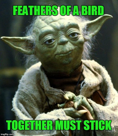 Yoda Speaks | FEATHERS OF A BIRD TOGETHER MUST STICK | image tagged in memes,star wars yoda,friends,friendship,team | made w/ Imgflip meme maker