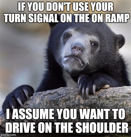 Confession Bear | IF YOU DON'T USE YOUR TURN SIGNAL ON THE ON RAMP I ASSUME YOU WANT TO DRIVE ON THE SHOULDER | image tagged in memes,confession bear,AdviceAnimals | made w/ Imgflip meme maker