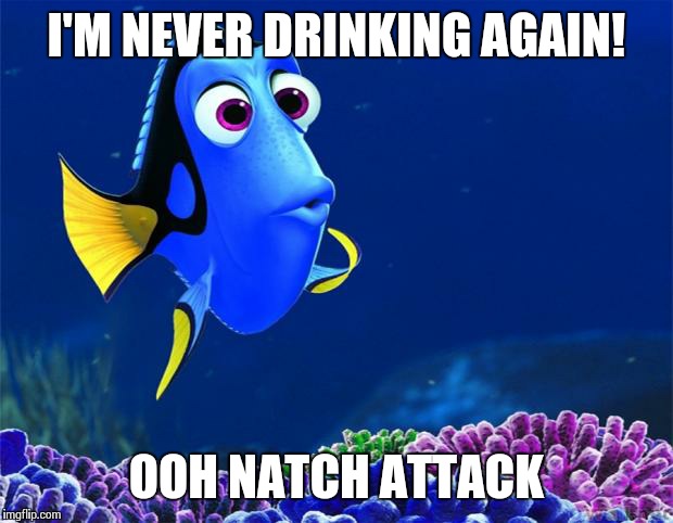 Dory | I'M NEVER DRINKING AGAIN! OOH NATCH ATTACK | image tagged in dory | made w/ Imgflip meme maker
