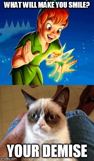 Grumpy Cat Does Not Believe | WHAT WILL MAKE YOU SMILE? YOUR DEMISE | image tagged in memes,grumpy cat does not believe | made w/ Imgflip meme maker