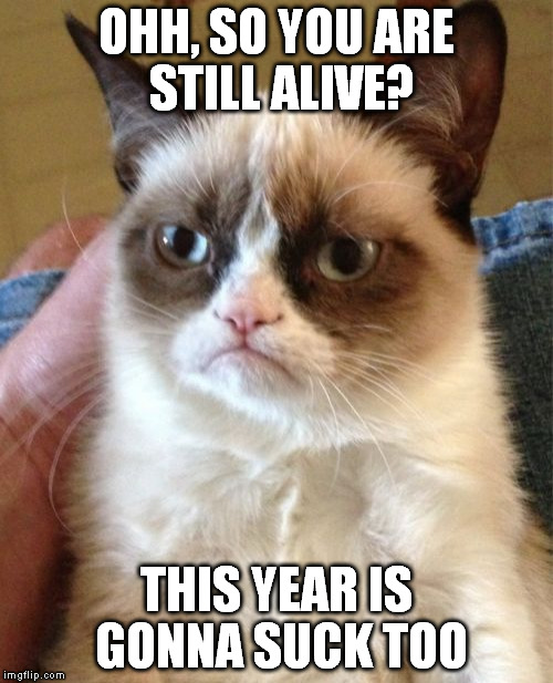 Grumpy Cat | OHH, SO YOU ARE STILL ALIVE? THIS YEAR IS GONNA SUCK TOO | image tagged in memes,grumpy cat | made w/ Imgflip meme maker