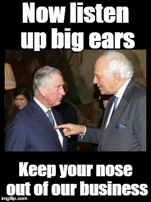 Prince Charles and Evelyn Rothschild | Now listen up big ears Keep your nose out of our business | image tagged in prince,charles,big,ears,evelyn,rothschild | made w/ Imgflip meme maker