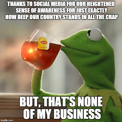 But That's None Of My Business | THANKS TO SOCIAL MEDIA FOR OUR HEIGHTENED SENSE OF AWARENESS FOR JUST EXACTLY HOW DEEP OUR COUNTRY STANDS IN ALL THE CRAP BUT, THAT'S NONE O | image tagged in memes,but thats none of my business,kermit the frog | made w/ Imgflip meme maker