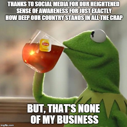 But That's None Of My Business | THANKS TO SOCIAL MEDIA FOR OUR HEIGHTENED SENSE OF AWARENESS FOR JUST EXACTLY HOW DEEP OUR COUNTRY STANDS IN ALL THE CRAP BUT, THAT'S NONE O | image tagged in memes,but thats none of my business,kermit the frog | made w/ Imgflip meme maker