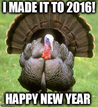 Turkey | I MADE IT TO 2016! HAPPY NEW YEAR | image tagged in memes,turkey | made w/ Imgflip meme maker