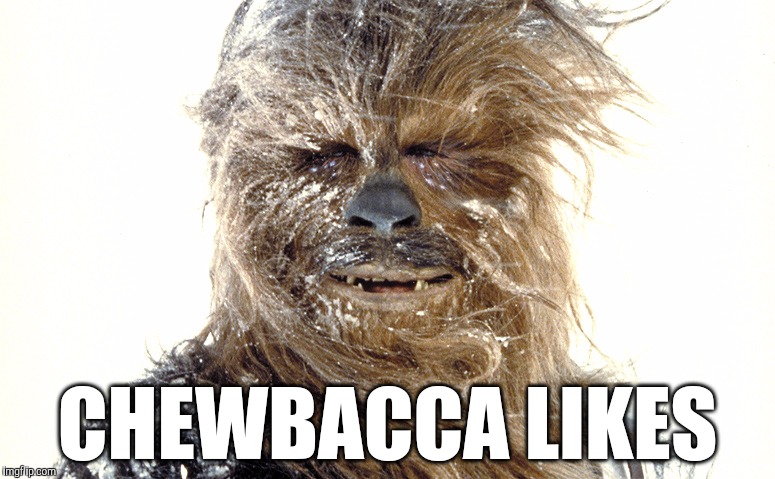 Chewbacca likes | CHEWBACCA LIKES | image tagged in chewbacca likes,meme,memes | made w/ Imgflip meme maker