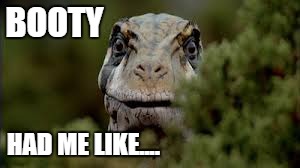 Thirsty Utahraptor | BOOTY HAD ME LIKE.... | image tagged in dat ass | made w/ Imgflip meme maker